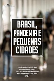 Livro Brasil, pandemia e pequenas cidades