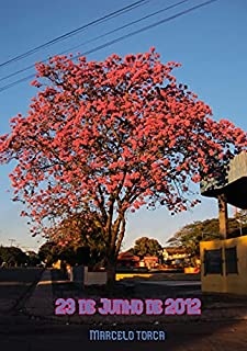 Livro 23 de Junho de 2012 (Arte Digital)