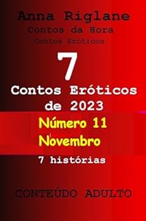 Livro 7 contos eróticos de 2023 - nº 11 novembro