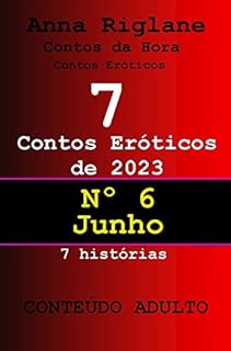 Livro 7 contos eróticos de 2023 - nº 6 junho