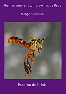 Livro Abelhas Sem Ferrão, Maravilhas De Deus