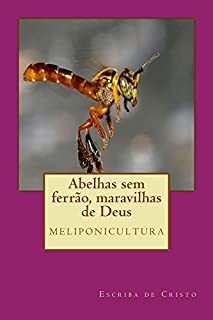 Livro Abelhas sem ferrao, maravilhas de Deus: Meliponicultura