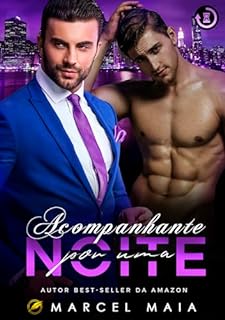 Livro Acompanhante por uma noite (Histórias Curtas)