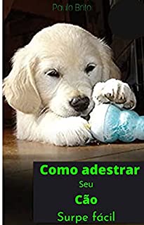 Livro Como adestrar seu cão : Adestramento fácil para cães