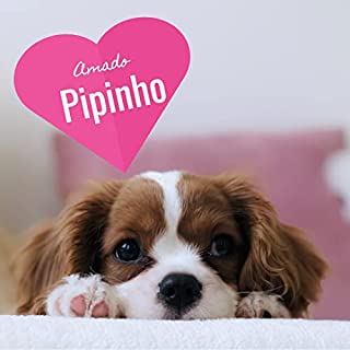 Livro Amado Pipinho
