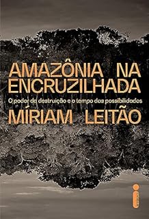 Amazônia na encruzilhada: O poder da destruição e o tempo das possibilidades