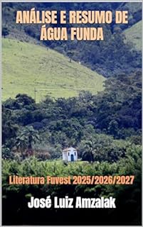 Livro ANÁLISE E RESUMO DE ÁGUA FUNDA: Literatura Fuvest 2025/2026/2027