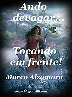 Livro Ando devagar... Tocando em frente!: Cada um de nós compõe a sua história...