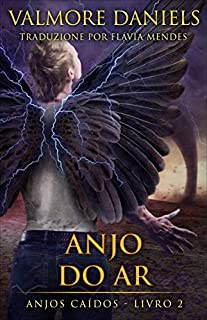 Livro Anjo do Ar