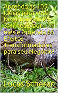 Livro Aprenda as 105 Ideias para você fazer mais de R$ 3Mil reais por mês e Aprenda 65 Efeitos Transformadores para seu Negócio!
