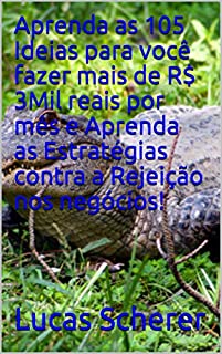 Livro Aprenda as 105 Ideias para você fazer mais de R$ 3Mil reais por mês e Aprenda as Estratégias contra a Rejeição nos negócios!