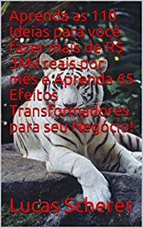 Livro Aprenda as 110 Ideias para você fazer mais de R$ 3Mil reais por mês e Aprenda 65 Efeitos Transformadores para seu Negócio!