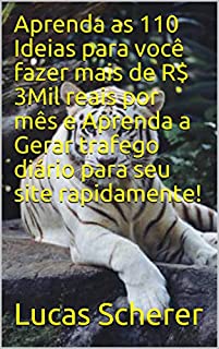 Livro Aprenda as 110 Ideias para você fazer mais de R$ 3Mil reais por mês e Aprenda a Gerar trafego diário para seu site rapidamente!