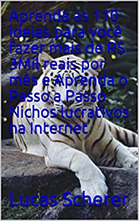 Livro Aprenda as 110 Ideias para você fazer mais de R$ 3Mil reais por mês e Aprenda o Passo a Passo Nichos lucrativos na Internet