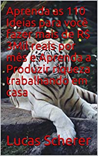 Livro Aprenda as 110 Ideias para você fazer mais de R$ 3Mil reais por mês e Aprenda a Produzir riqueza trabalhando em casa