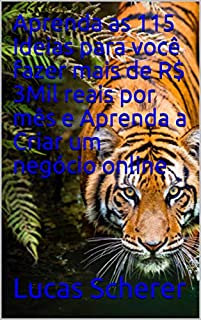 Livro Aprenda as 115 Ideias para você fazer mais de R$ 3Mil reais por mês e Aprenda a Criar um negócio online