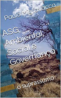 Livro ASG, Ambiental, Social e Governança: o suprassumo (executive Livro 1)
