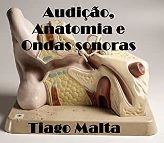 Audição, Anatomia e Ondas sonoras