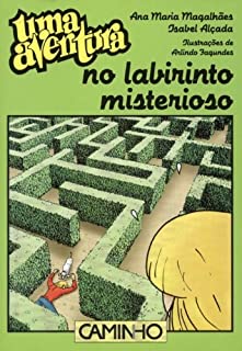 Livro Uma Aventura no Labirinto Misterioso