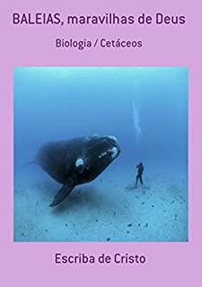 Livro Baleias, Maravilhas De Deus