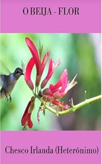 Livro O Beija-Flor (Parceria selo editorial Quimera antologias e site das letras edições literárias Livro 23)