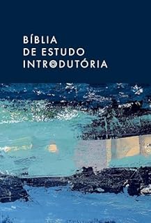 Livro Bíblia de estudo introdutória, NVI, Capa dura com tecido e Couro-soft, Leitura Perfeita