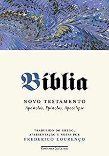 Livro Bíblia - Novo testamento, vol. II: Apóstolos, Epístolas, Apocalipse