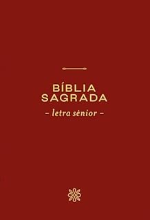 Livro Bíblia NVI, Letra Sênior, Capa vinho