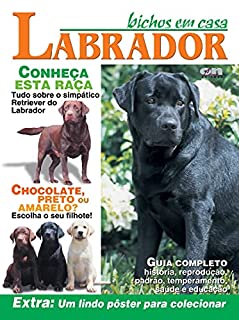 Livro Bichos em casa: Labrador