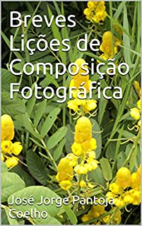 Breves Lições de Composição Fotográfica