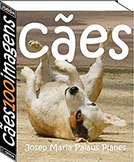 cães (100 immagens)