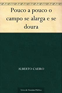 Pouco a pouco o campo se alarga e se doura