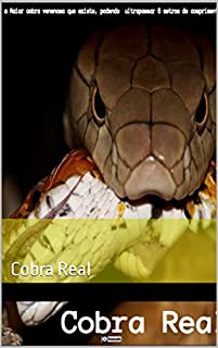 Livro Cobra Real: Cobra Real