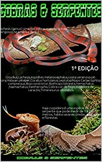 Livro Cobras e Serpentes Vol 1