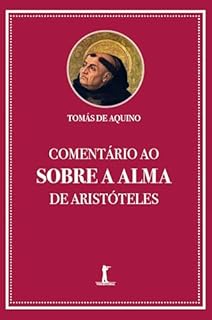 Livro Comentário ao Banquete de Platão (Digital)