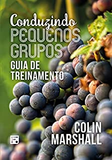 Conduzindo pequenos grupos: guia de treinamento