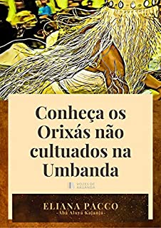 Livro CONHEÇA OS ORIXÁS NÃO CULTUADOS NA UMBANDA: Umbanda Para Leigos