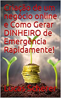 Livro Criação de um negócio online e Como Gerar DINHEIRO de Emergência Rapidamente!