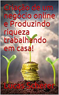 Livro Criação de um negócio online e Produzindo riqueza trabalhando em casa!