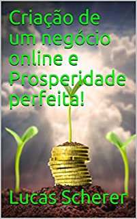 Livro Criação de um negócio online e Prosperidade perfeita!