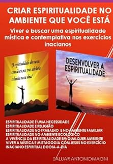Livro Criar Espiritualidade No Ambiente Que Você Está