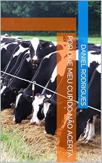 Livro Por Que Meu Cupido Não Acerta