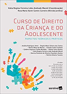 Curso de Direito da Criança e do Adolescente: Aspectos Teóricos e Práticos