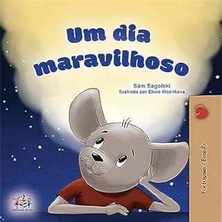 Livro Um dia maravilhoso