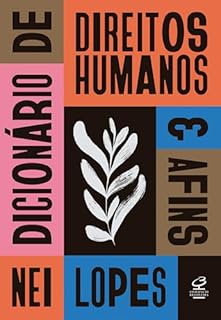 Livro Dicionário de direitos humanos e afins