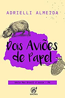 Livro Dois aviões de papel: PR (Meu Brasil é assim Livro 25)