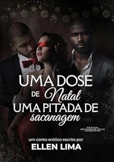Livro Uma dose de natal, uma pitada de sacanagem
