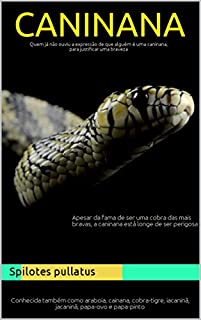 Livro Ebook Caninana 1ª Edição