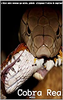 Livro Ebook Cobra Real 1ªEd.