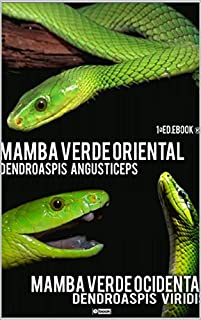 Ebook Mamba Verde 1ª E